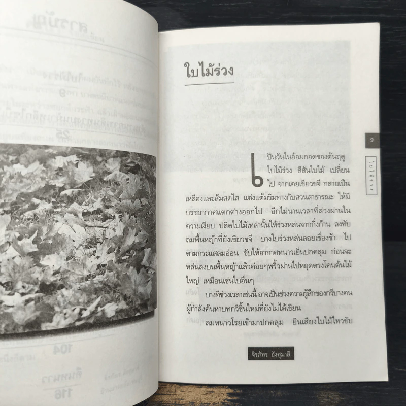 ใบไม้ร่วง - จิรภัทร อังศุมาลี รูปที่ 8