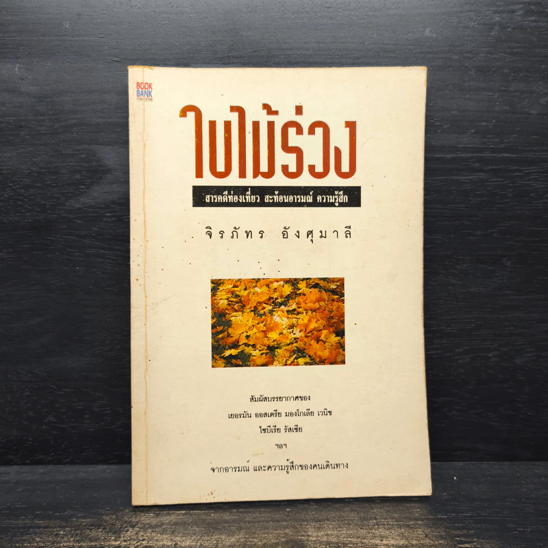 ใบไม้ร่วง - จิรภัทร อังศุมาลี รูปที่ 1