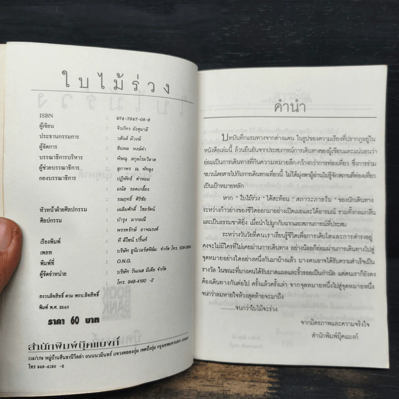 ใบไม้ร่วง - จิรภัทร อังศุมาลี รูปที่ 6