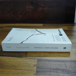 คินสึงิ (KINTSUGI) ความงามของบาดแผลแห่งชีวิต - Tomas Navarro รูปที่ 3