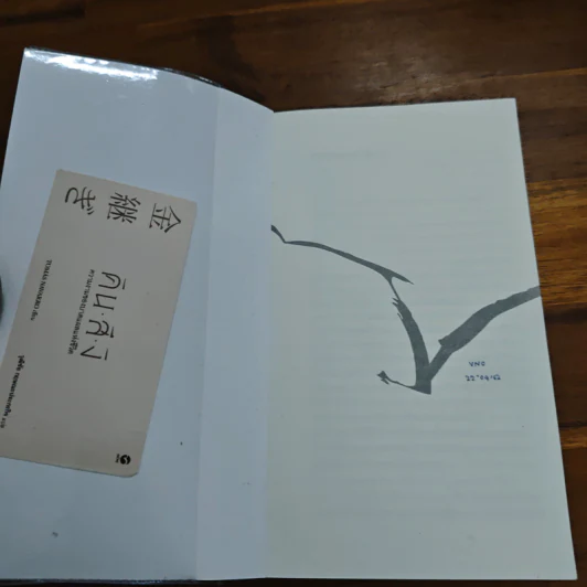 คินสึงิ (KINTSUGI) ความงามของบาดแผลแห่งชีวิต - Tomas Navarro รูปที่ 6