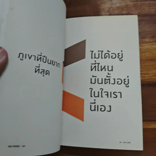 No More No Less - วงศ์ทนง ชัยณรงค์สิงห์ รูปที่ 9