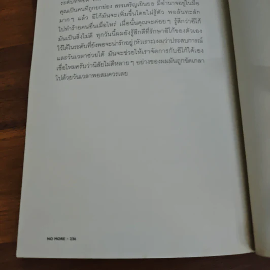 No More No Less - วงศ์ทนง ชัยณรงค์สิงห์ รูปที่ 10