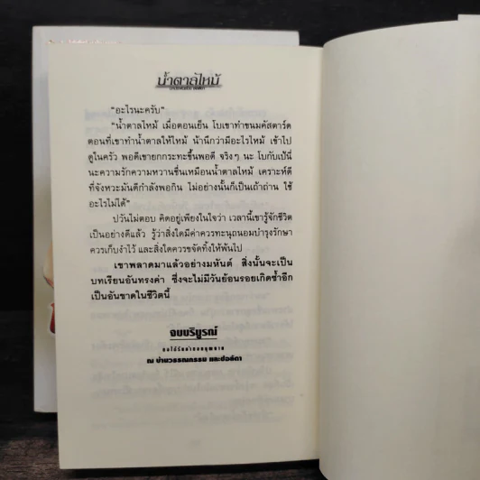 น้ำตาลไหม้ 2 เล่มจบ - ช่อลัดา รูปที่ 9