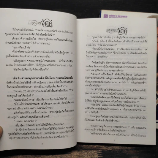 จัดคู่ 2 เล่มจบ - ศรีทอง ลดาวัลย์ รูปที่ 8