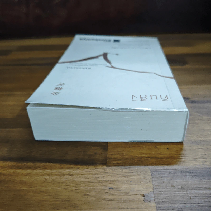 คินสึงิ (KINTSUGI) ความงามของบาดแผลแห่งชีวิต - Tomas Navarro รูปที่ 5