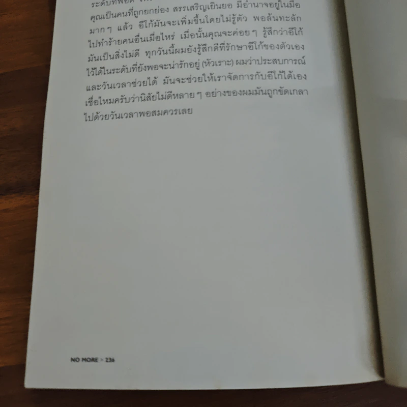 No More No Less - วงศ์ทนง ชัยณรงค์สิงห์ รูปที่ 10
