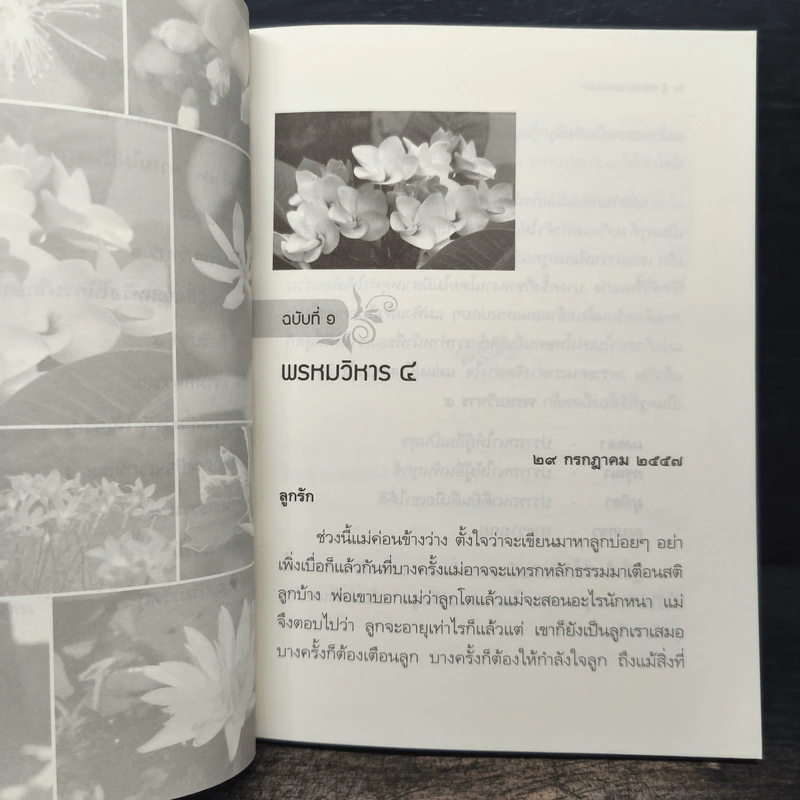 จดหมายแห่งรัก - พุดซ้อน รูปที่ 10