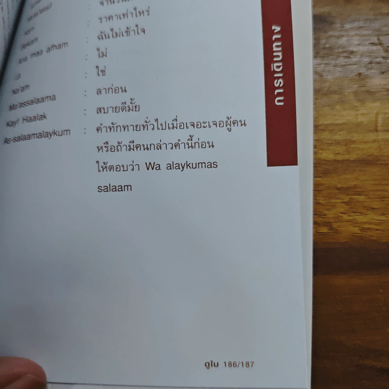 ดูไบ คู่มือหลงเที่ยวสหรัฐอาหรับเอมิเรตส์ฉบับตัวเอง รูปที่ 9