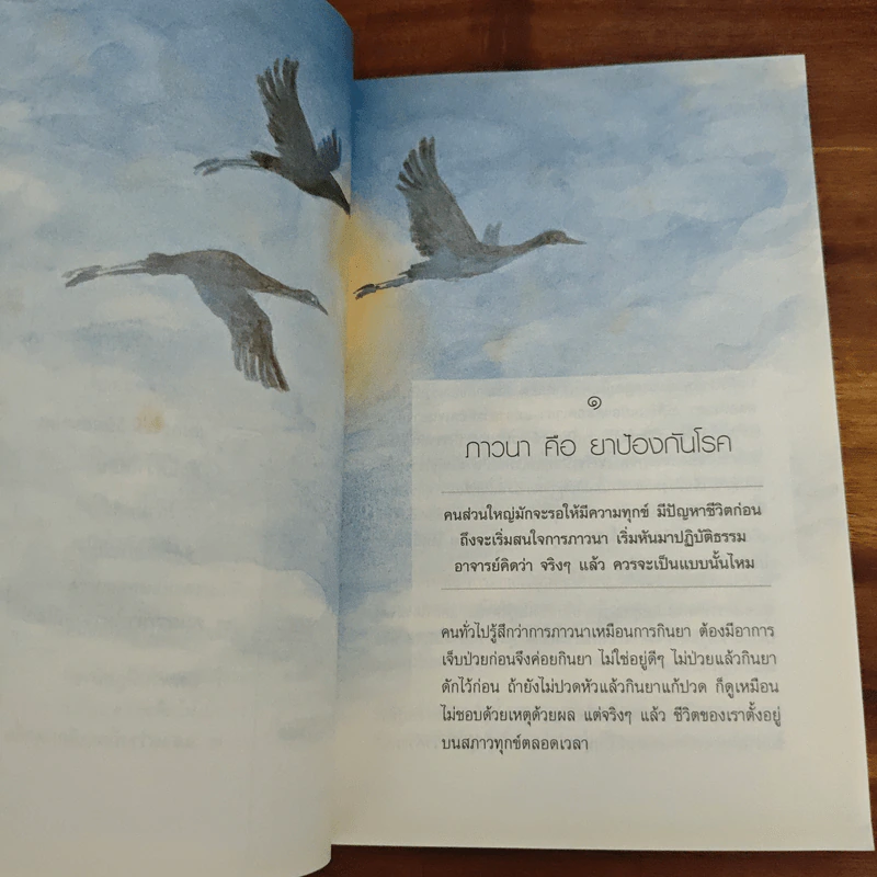 ภาวนา เริ่มต้น ณ กม.0 - ประมวล เพ็งจันทร์ รูปที่ 8