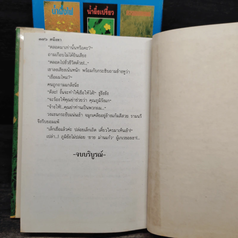 คนึงหา 2 เล่มจบ (ปกแข็ง) - บุษยมาส รูปที่ 9