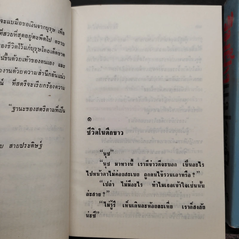 ริมฝั่งแม่ระมิงค์ 2 เล่มจบ - อ.ไชยวรศิลป์ รูปที่ 7