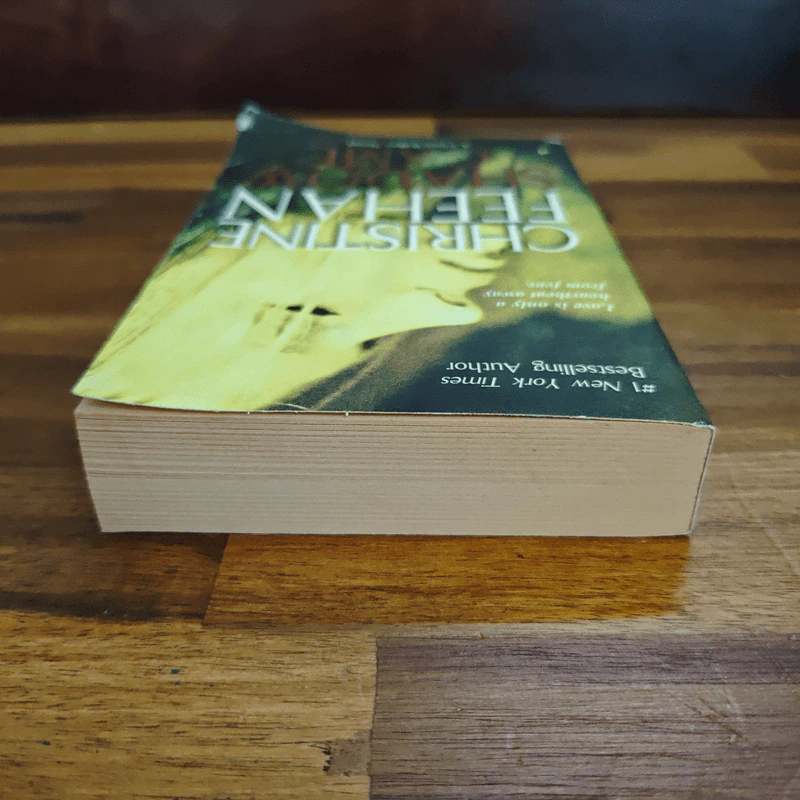 Shadow Game - Christine Feehan รูปที่ 5