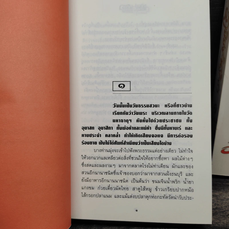 ภูชิชย์ นริศรา 2 เล่มจบ - ก.สุรางคนางค์ รูปที่ 7