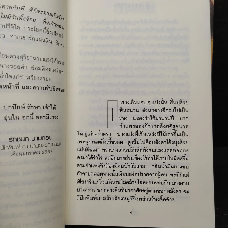 โสมส่องแสง 2 เล่มจบ - โรสลาเรน รูปที่ 7