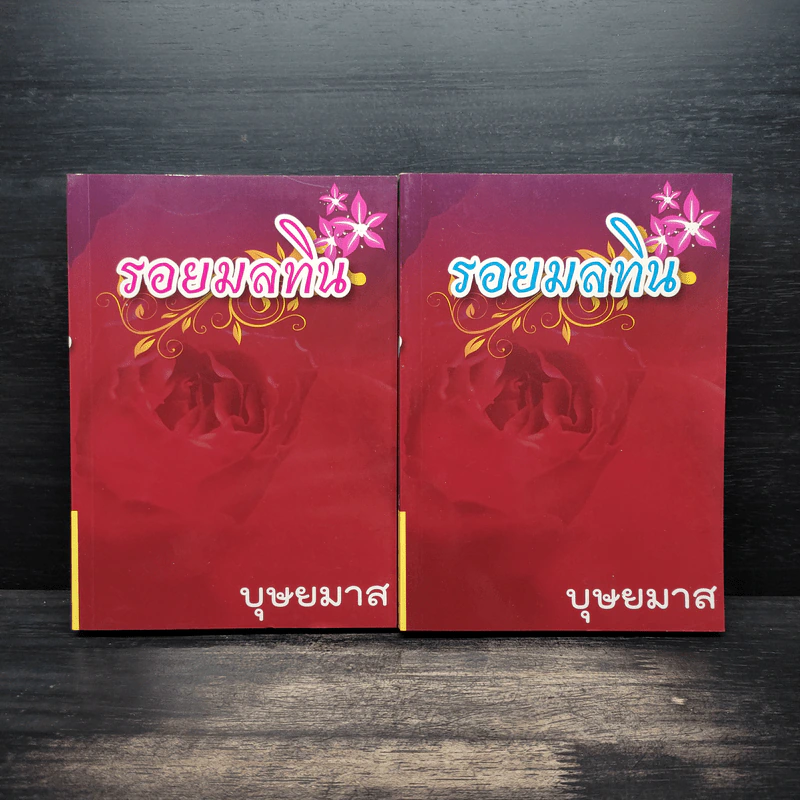 รอยมลทิน 2 เล่มจบ - บุษยมาส รูปที่ 1