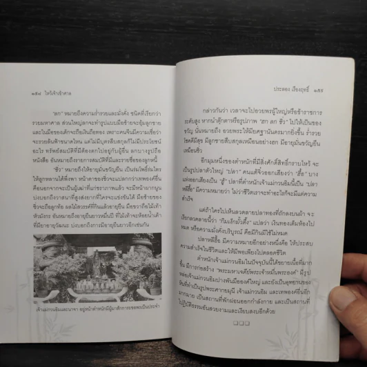 ไหว้เจ้าเข้าศาล - ประลอง เรืองฤทธิ์ รูปที่ 9