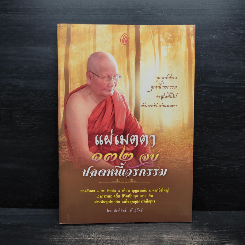 แผ่เมตตา 132 จบ ปลดหนี้เวรกรรม - ศักดิ์สิทธิ์ พันธุ์สัตย์ รูปที่ 1