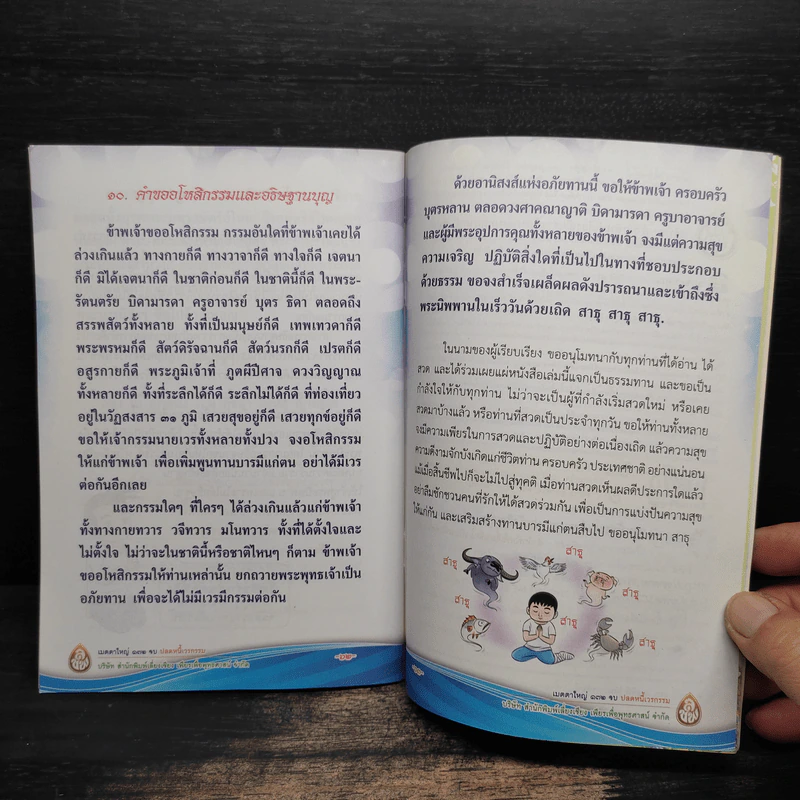 แผ่เมตตา 132 จบ ปลดหนี้เวรกรรม - ศักดิ์สิทธิ์ พันธุ์สัตย์ รูปที่ 8
