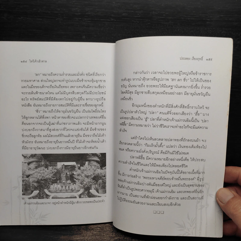ไหว้เจ้าเข้าศาล - ประลอง เรืองฤทธิ์ รูปที่ 9