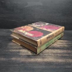 เพลิงบุญ 2 เล่มจบ - กฤษณา อโศกสิน รูปที่ 5