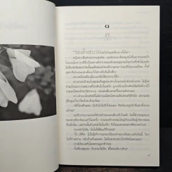 ธารแสงดาว - ทักษิณา รูปที่ 7