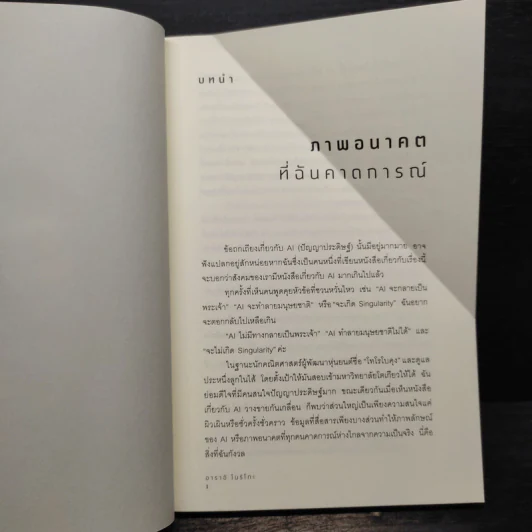 ฉลาดกว่า AI - อาราอิ โบริโกะ รูปที่ 8