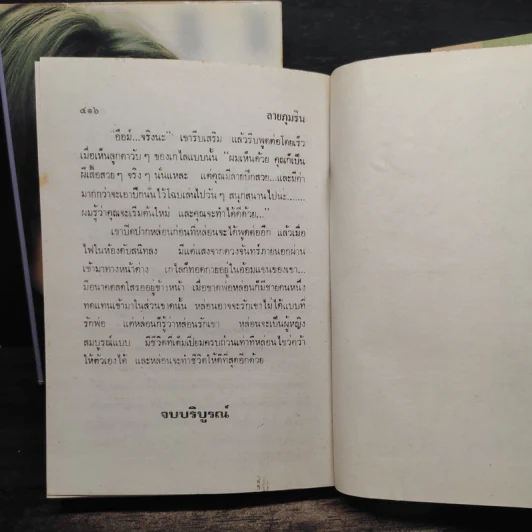 ลายภุมริน 2 เล่มจบ - ดาริกา รูปที่ 8
