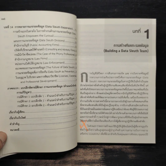 แกะรอยข้อมูลทุจริต - Leah Wietholter รูปที่ 11