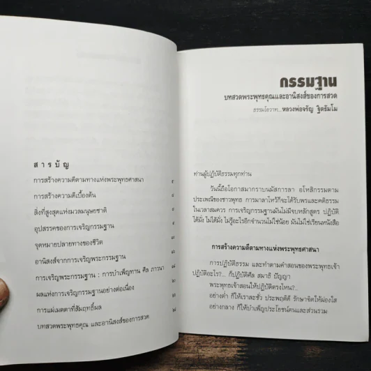 กรรมฐาน บทสวดพระพุทธคุณและอานิสงส์ของการสวด - จรัญ ธิตธมโม รูปที่ 7