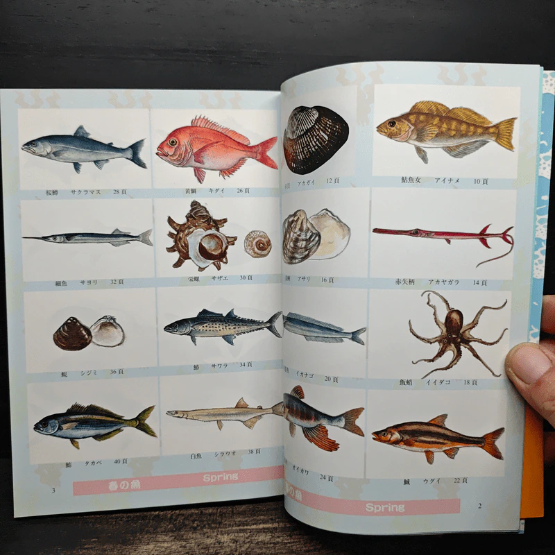 魚百選 名の由来から漁法、食べ方まで魚文化を語る - 金田 禎之 รูปที่ 7