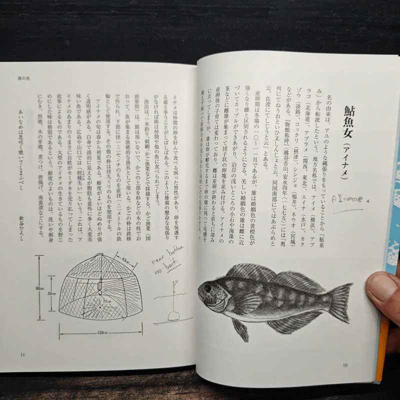 魚百選 名の由来から漁法、食べ方まで魚文化を語る - 金田 禎之 รูปที่ 11