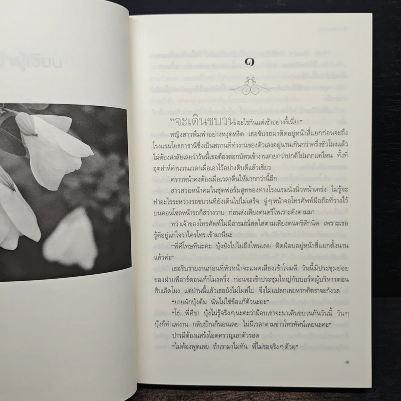ธารแสงดาว - ทักษิณา รูปที่ 7