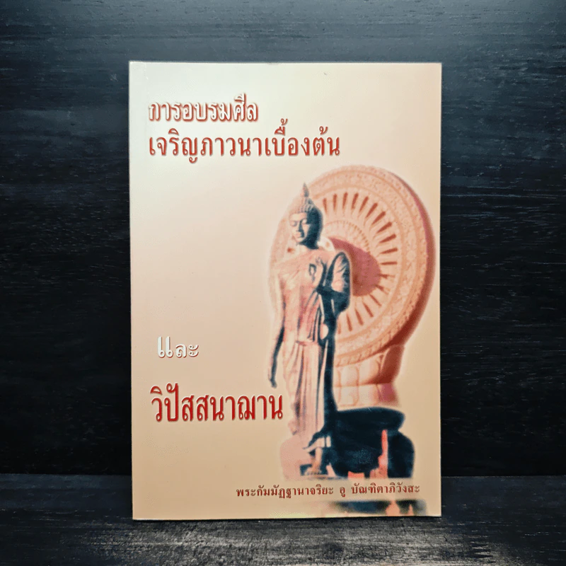 การอบรมศีล เจริญภาวนาเบื้องต้น และวิปัสสนาฌาน - พระกัมมัฏฐานาจริยะ อู บัณฑิตาภิวังสะ รูปที่ 1