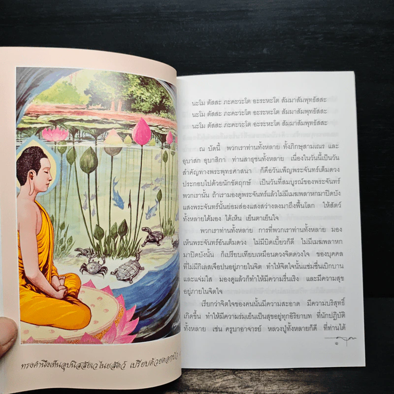 มองดูตนเอง - พระอาจารย์เปลี่ยน ปญญาปทีโป รูปที่ 7