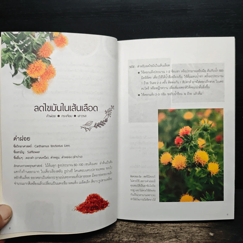 รู้ก่อนป่วย สมุนไพรช่วยได้ - กองบรรณาธิการเอ็มไอเอส รูปที่ 9