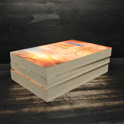 Boxset Love Secret พระจันทร์ซ่อนหา+เลื่อมลายรุ้ง+ตะวันรุ่งที่ปลายฟ้า - อุมาริการ์, เก้าแต้ม รูปที่ 6