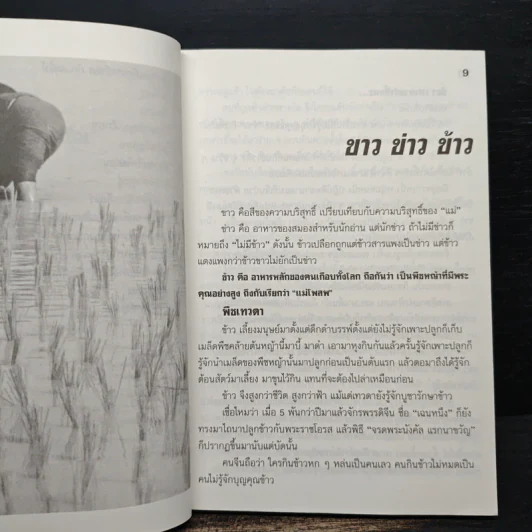 อาหารไทยสิแน่กว่าใคร - พลศรี คชาชีวะ รูปที่ 7