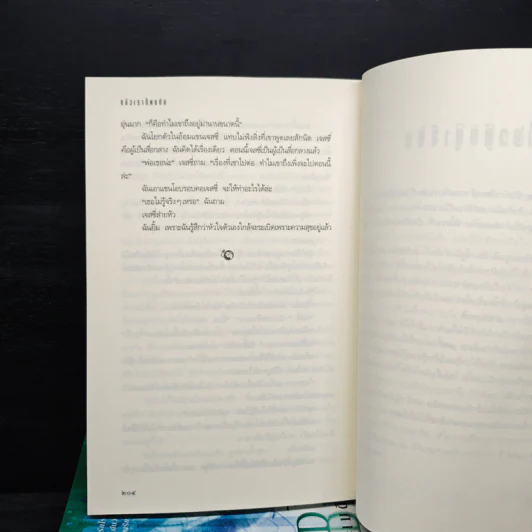 ชุด เดอะเมดิเอเตอร์ The Mediator 6 เล่มจบ - Meg Cabot (เม็ก คาบอท) รูปที่ 9
