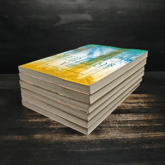 ชุด เดอะเมดิเอเตอร์ The Mediator 6 เล่มจบ - Meg Cabot (เม็ก คาบอท) รูปที่ 3