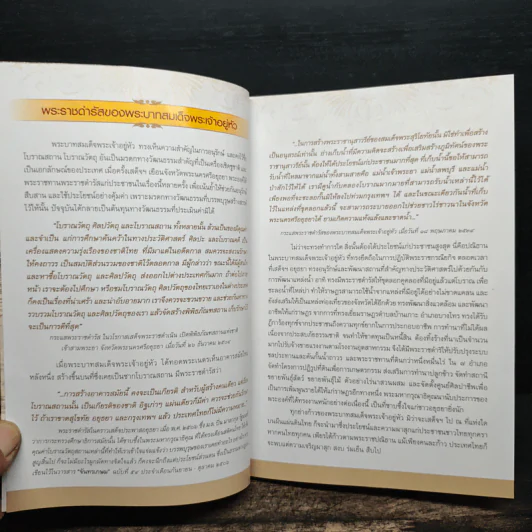 ตามรอยพระบาท เสด็จฯ อยุธยา รูปที่ 6