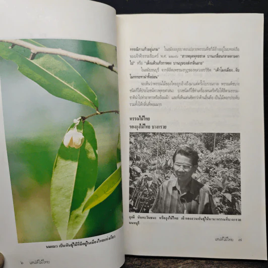 เสน่ห์ไม้ไทย - เสาวลักษณ์ สุขสมัย รูปที่ 8