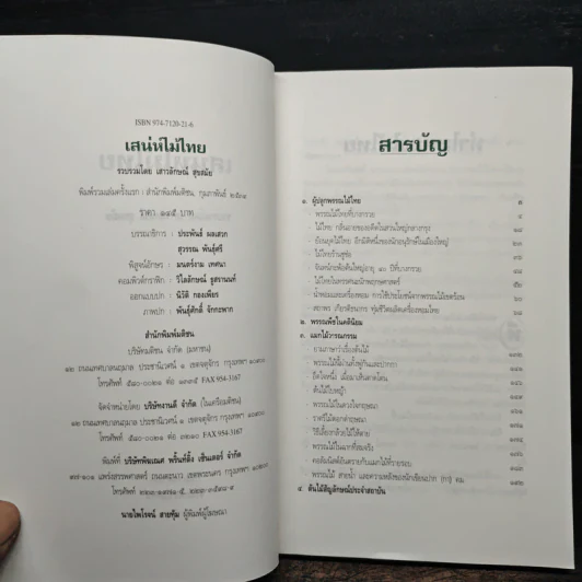 เสน่ห์ไม้ไทย - เสาวลักษณ์ สุขสมัย รูปที่ 6