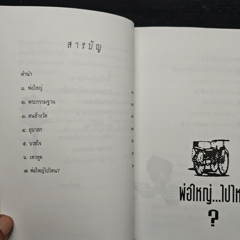 พ่อใหญ่...ไปไหน? รูปที่ 7