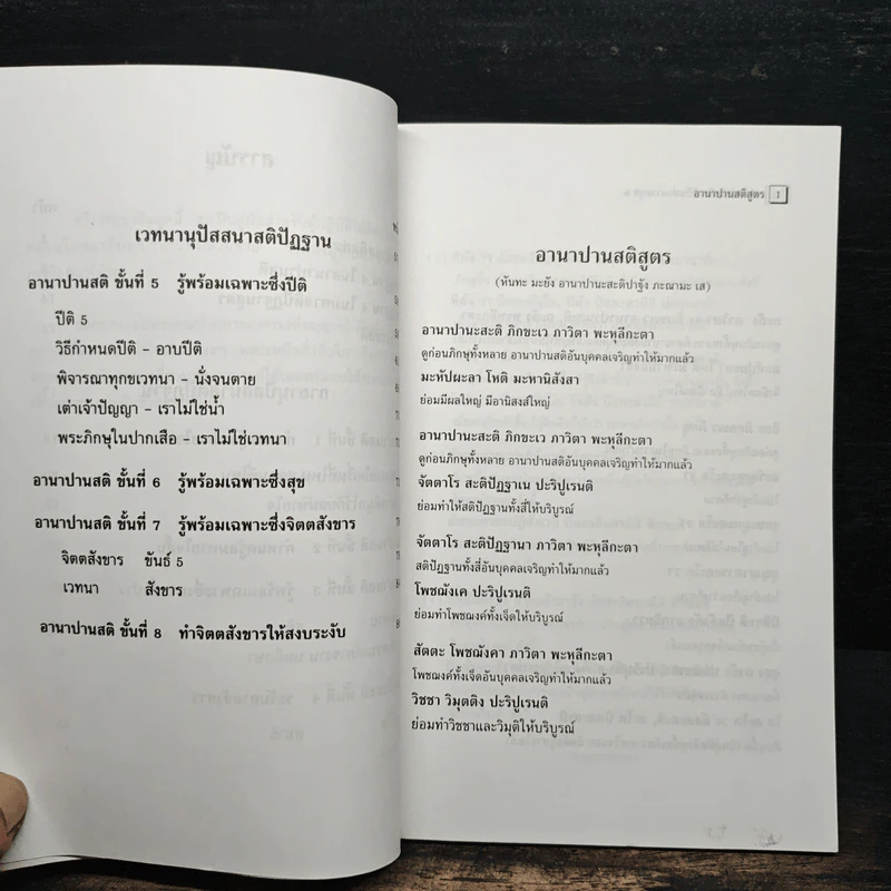 อานาปานสติ : วิถีแห่งความสุข 2 อานาปานสติ ขั้นที่ 1-8 - พระอาจารย์มิตซูโอะ คเวสโก รูปที่ 9