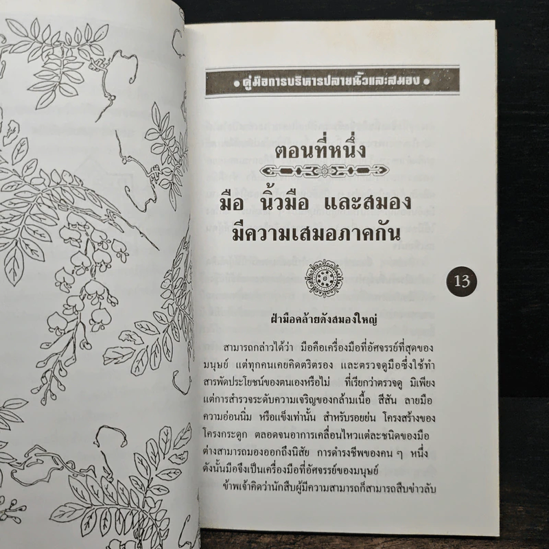 คู่มือการบริหาร ปลายนิ้วและสมอง - ม.อึ้งอรุณ รูปที่ 11