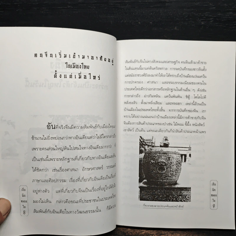 เสื่อผืนหมอนใบ คนแซ่กิม - วันชัย ตันติวิทยาพิทักษ์ รูปที่ 8