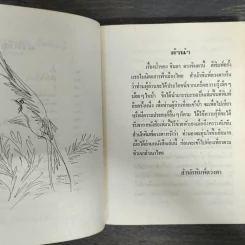 ป่า - จินดา ดวงจินดา รูปที่ 6