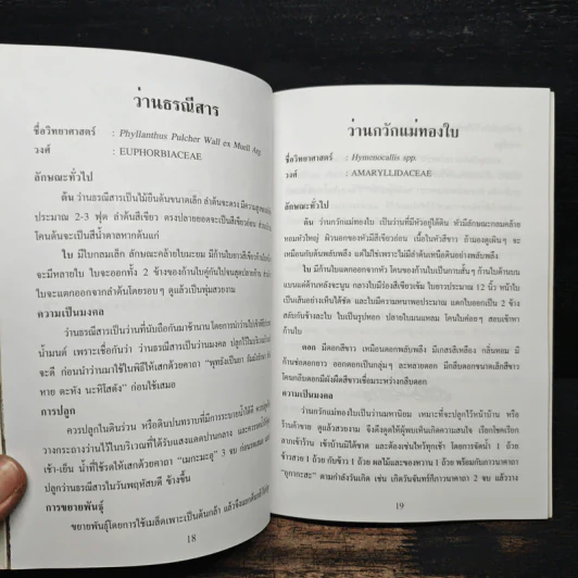 ว่านมงคล - ชมรมพัฒนาไม้ดอกไม้ประดับ รูปที่ 8