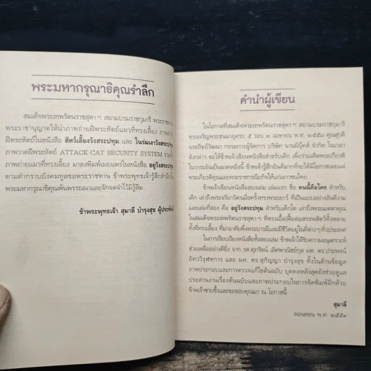 อยู่วังสระปทุม - สุมาลี, หมาจ๋า รูปที่ 7